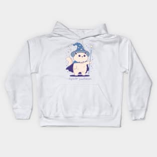 Cat Wizard Kids Hoodie